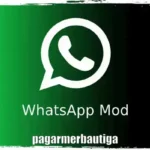 WhatsApp Mod