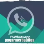 YoWhatsApp Apk