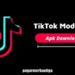 TikTok Mod APK